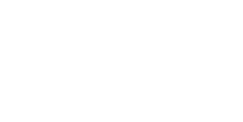 Brave Group - MTN Logo