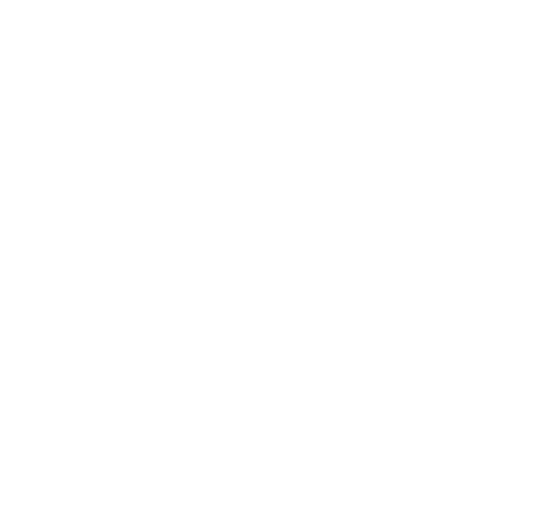 Brave Group - Nedbank Logo