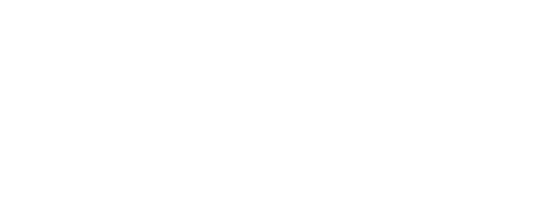 Brave Group - SAPIA FIASA Logo