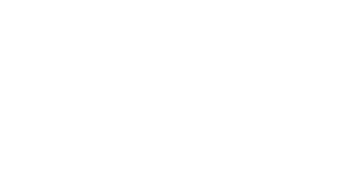 Brave Group - South African Tourism Logo