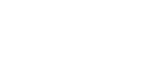Brave Group - Sage Logo
