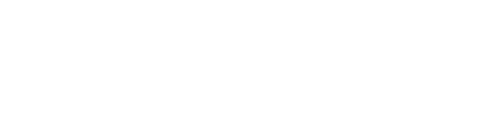 Brave Group - Wits Logo